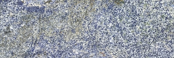 Image of Item