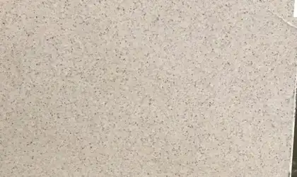 Image of Item