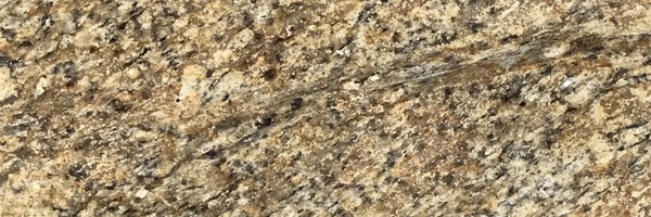 Image of Item