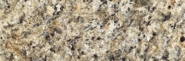 Image of Item