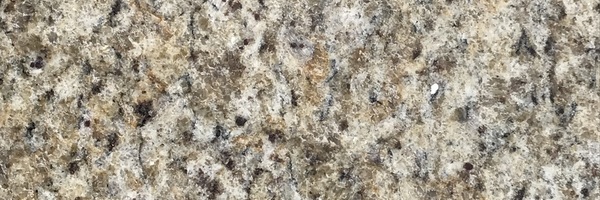 Image of Item