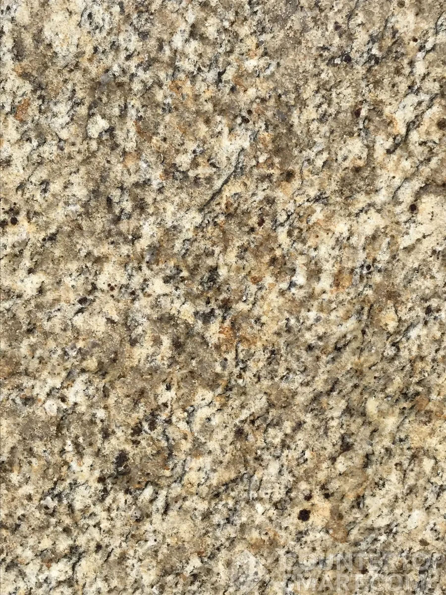 Image of Item
