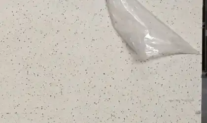Image of Item