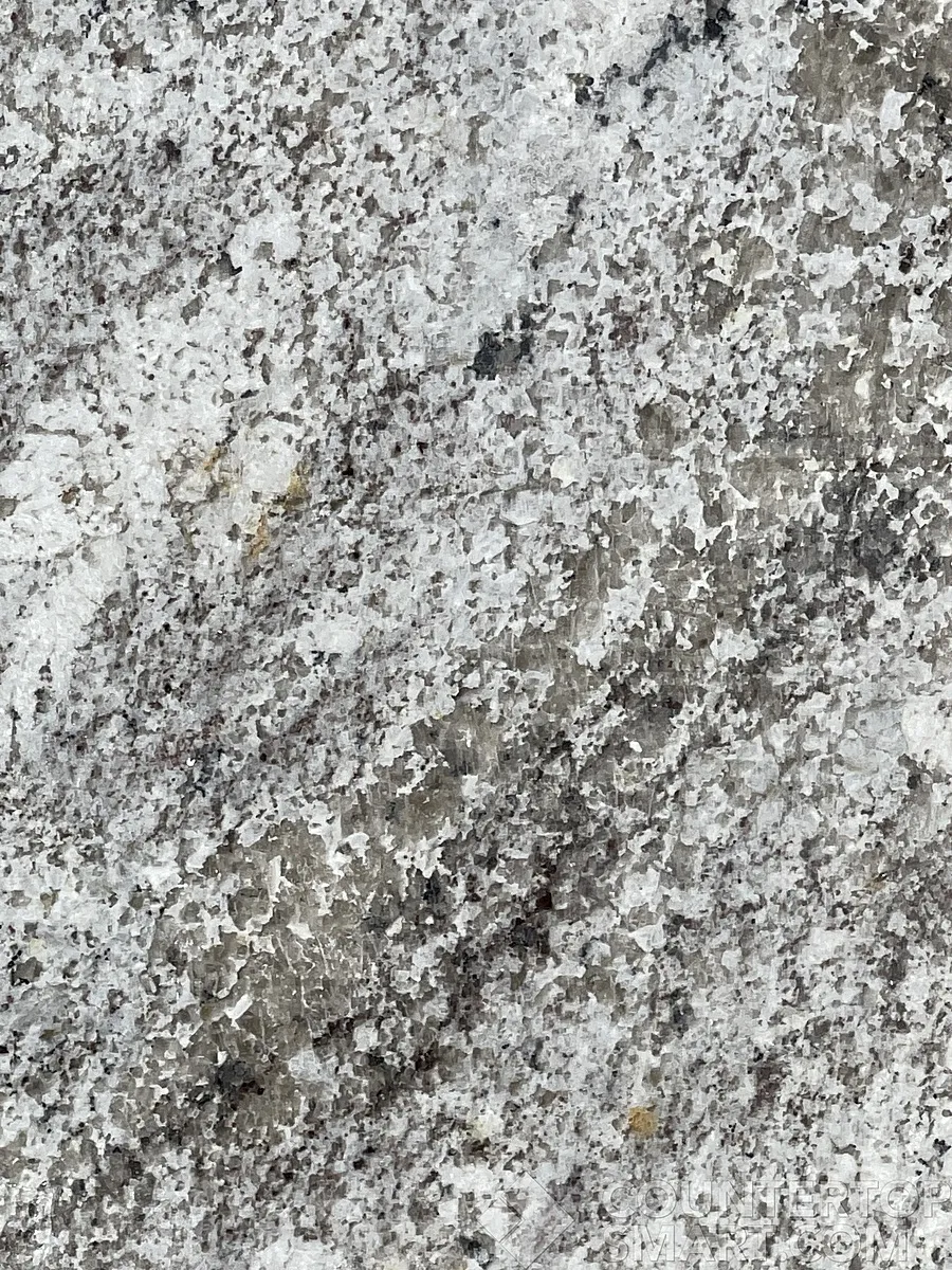 Closeup image of White Spring Grey Granite countertop slab