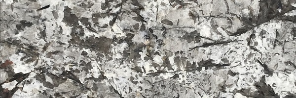 Image of Item