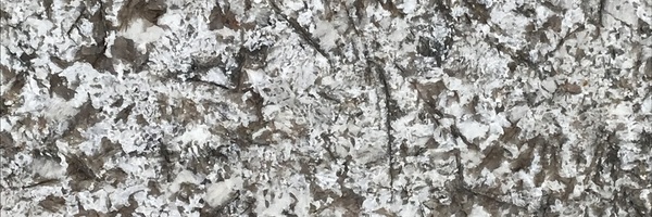 Image of Item