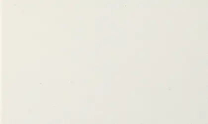 Image of Item