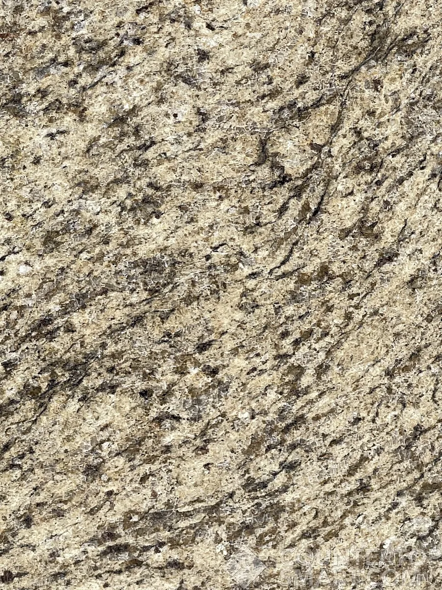 Closeup image of Giallo Ornamental Brown Granite countertop slab