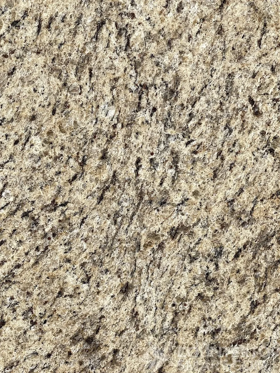 Closeup image of Giallo Ornamental Brown Granite countertop slab
