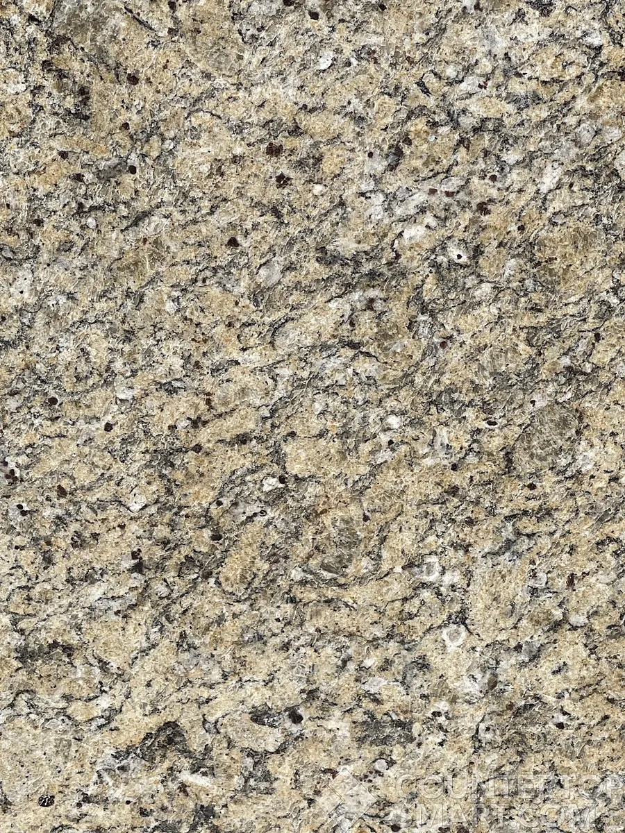 Closeup image of Ornamental White Granite countertop slab