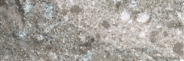 Image of Item
