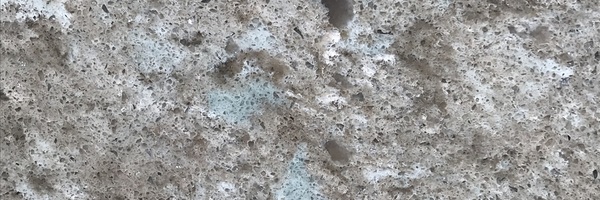 Image of Item