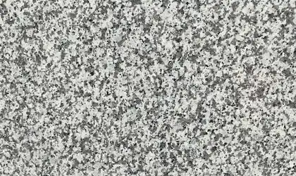 Image of Item