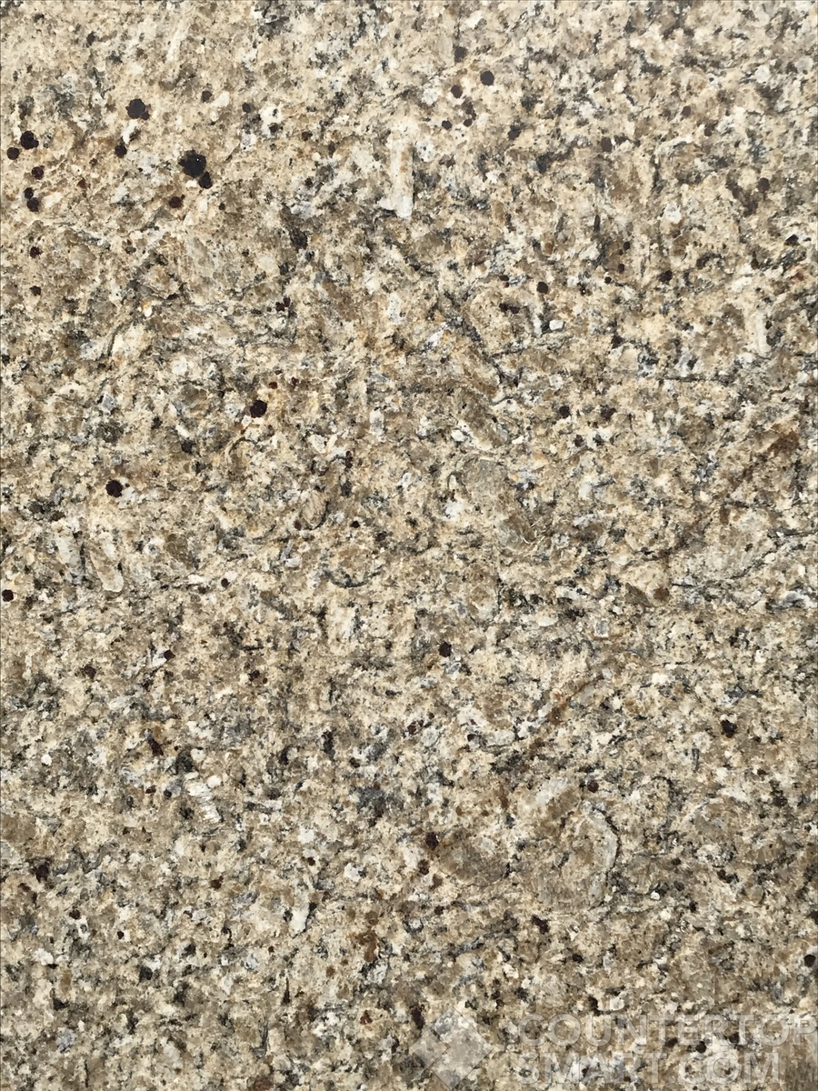 Image of Item