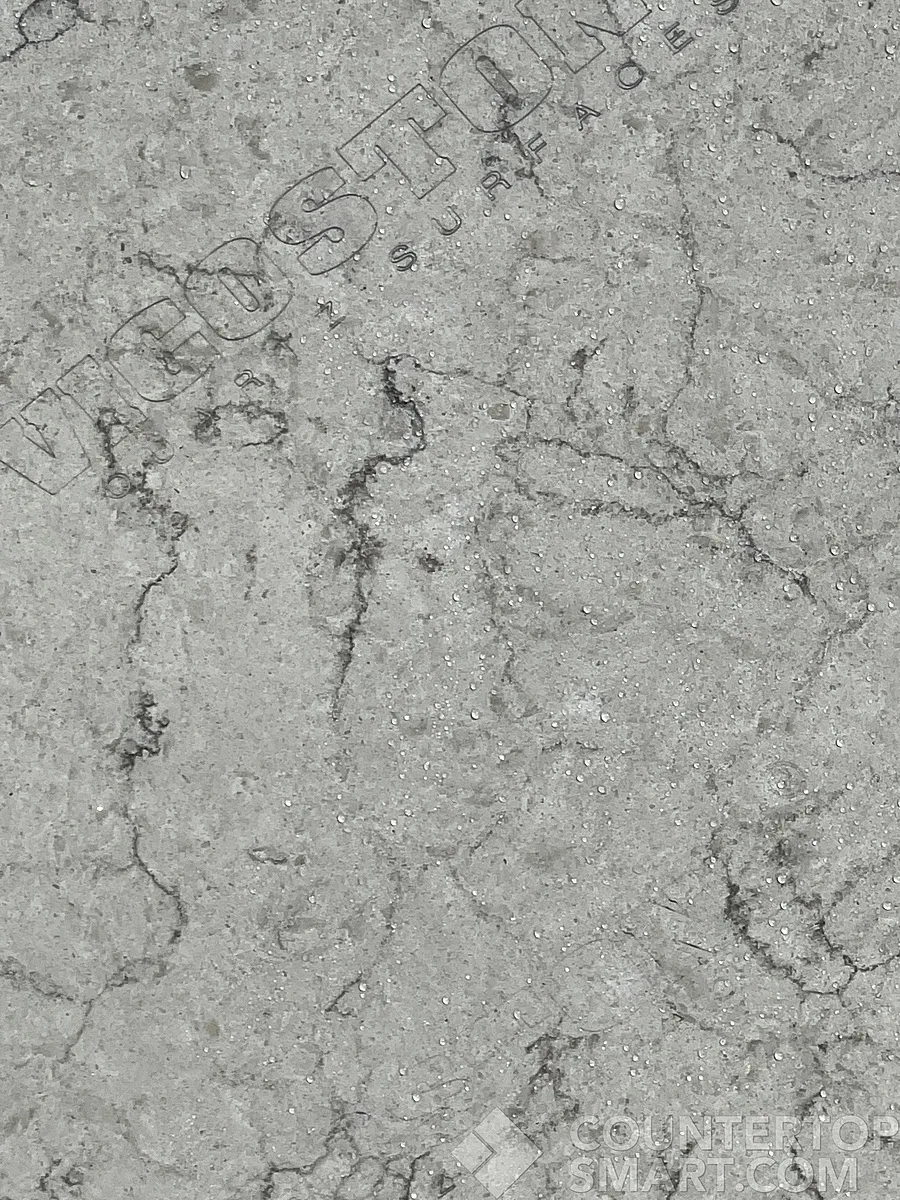 Closeup image of Vicostone Argento Grey Quartz countertop slab