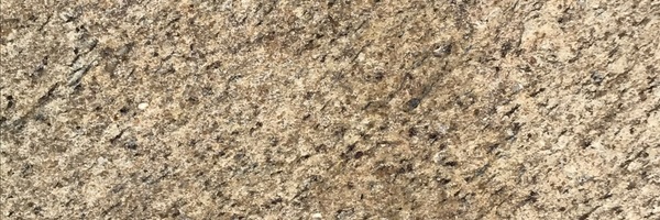 Image of Item