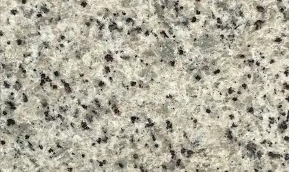 Image of Item