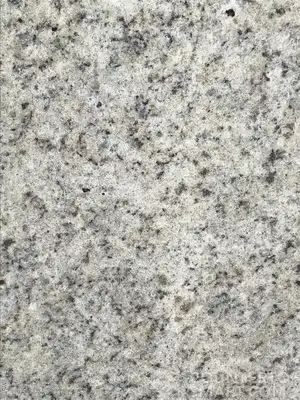 Image of Item