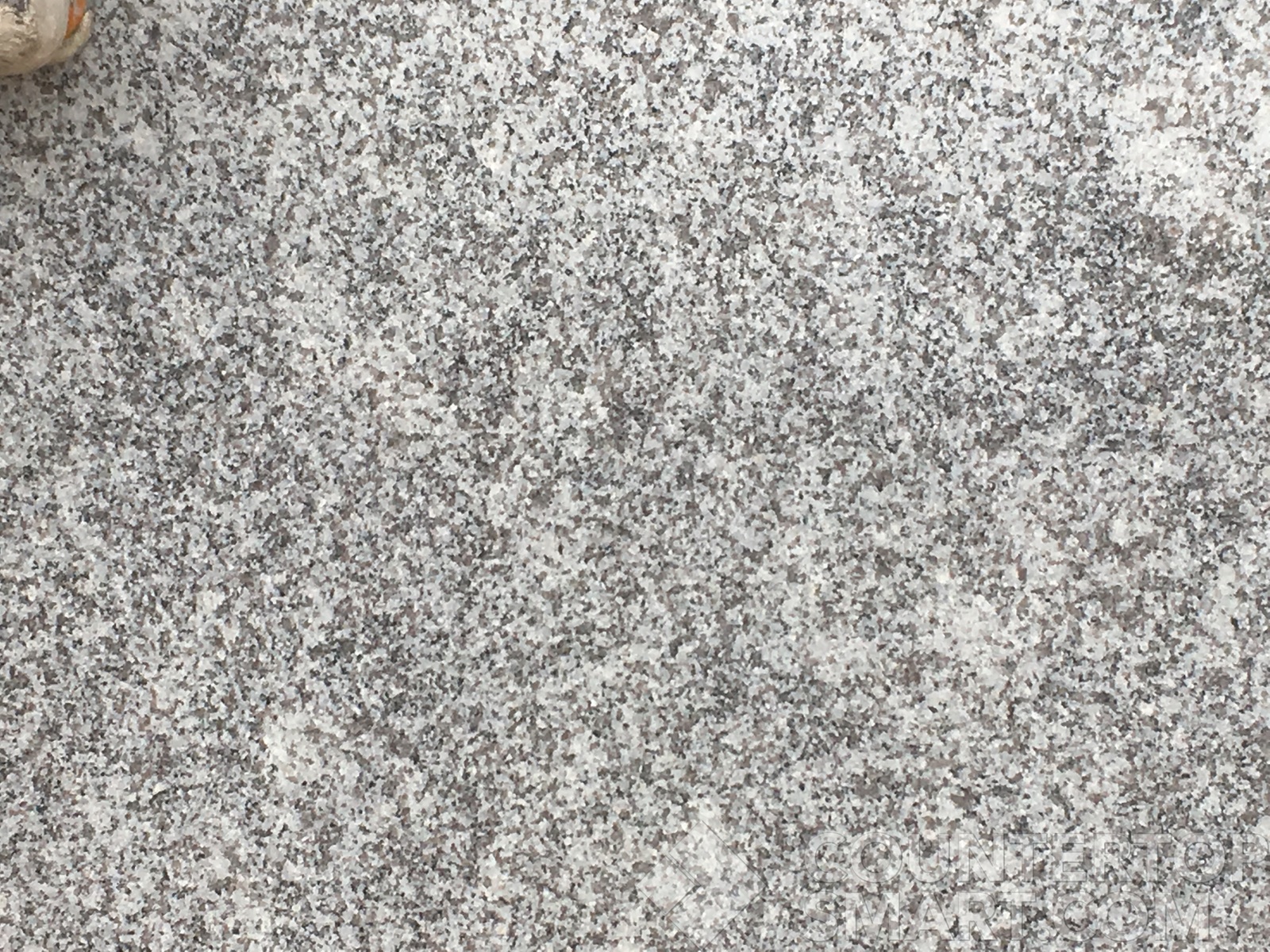 Image of Item