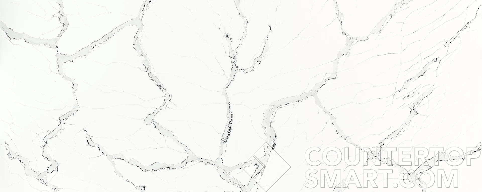 Image of Item