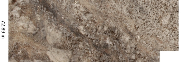 Image of Item