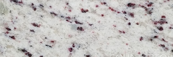 Image of Item