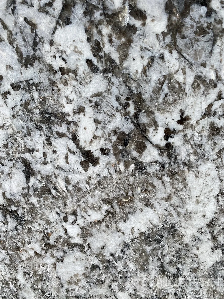 Closeup image of Antico Silver Cream Granite countertop slab