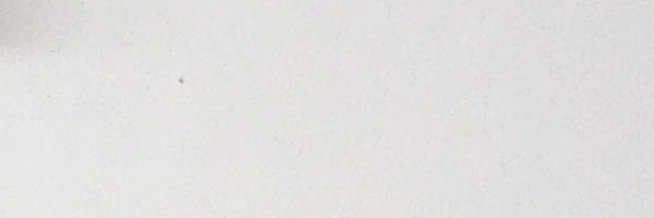 Image of Item