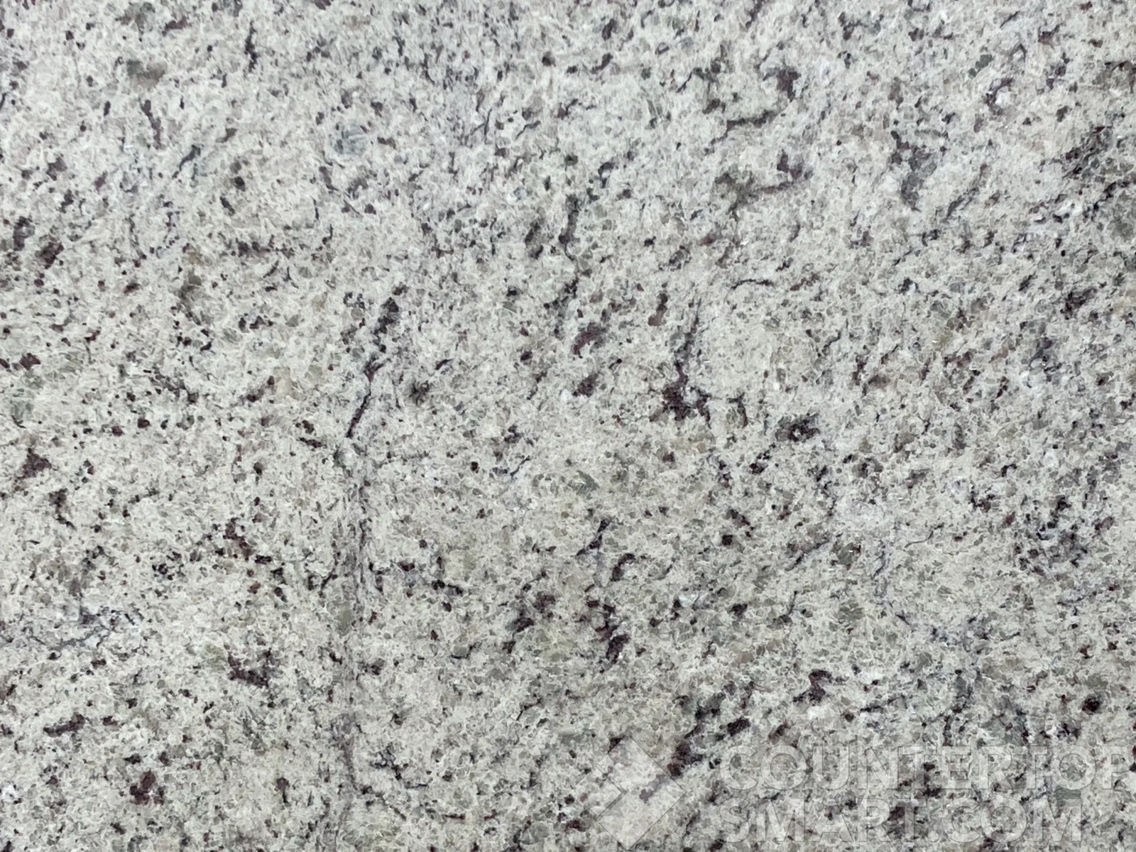 Closeup image of Dallas White Granite countertop slab