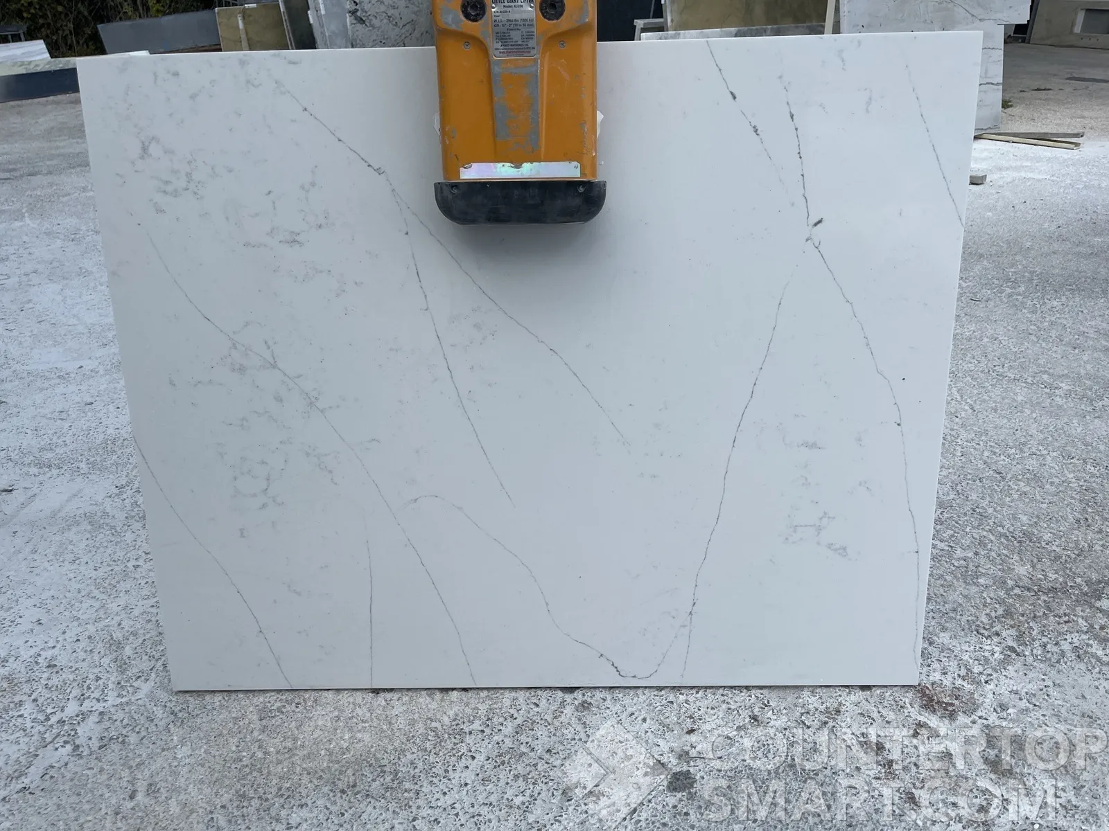 Full image of Q Quartz Calacatta Clara Quartz countertop slab