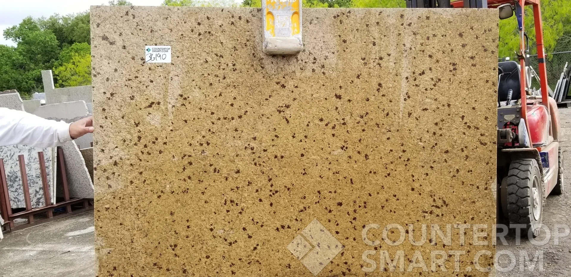 Image of Item