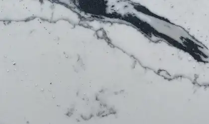 Closeup image of Venetian Black White Quartz countertop slab