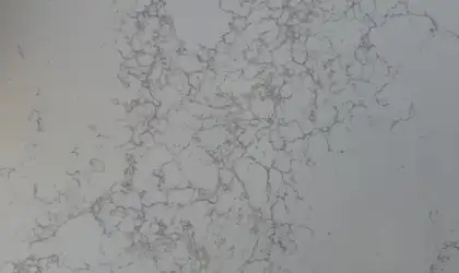 Closeup image of Viatera Lumina White Quartz countertop slab