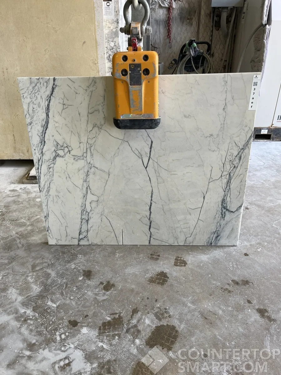 Full image of Fantasy Lux White Quartzite countertop slab