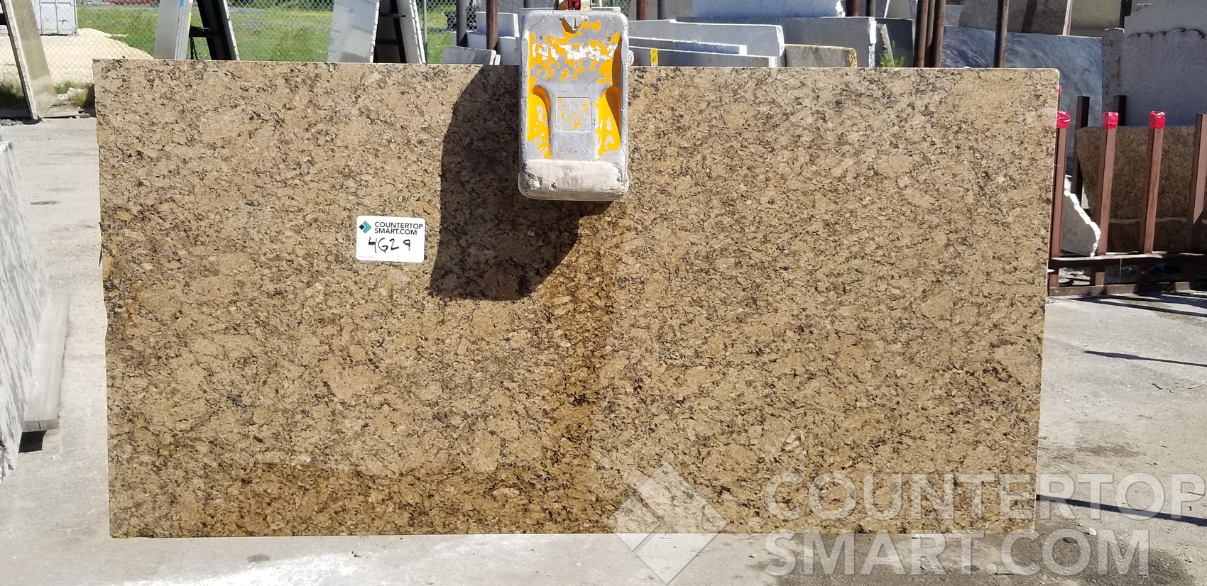 Image of Item