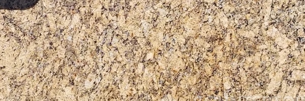 Image of Item