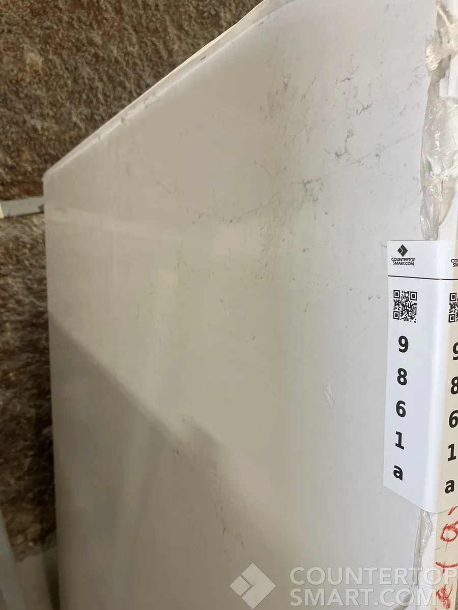 Full image of Q Quartz Calacatta Botanica Quartz countertop slab