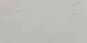 Closeup image of Daltile Valor Gold White Quartz countertop slab