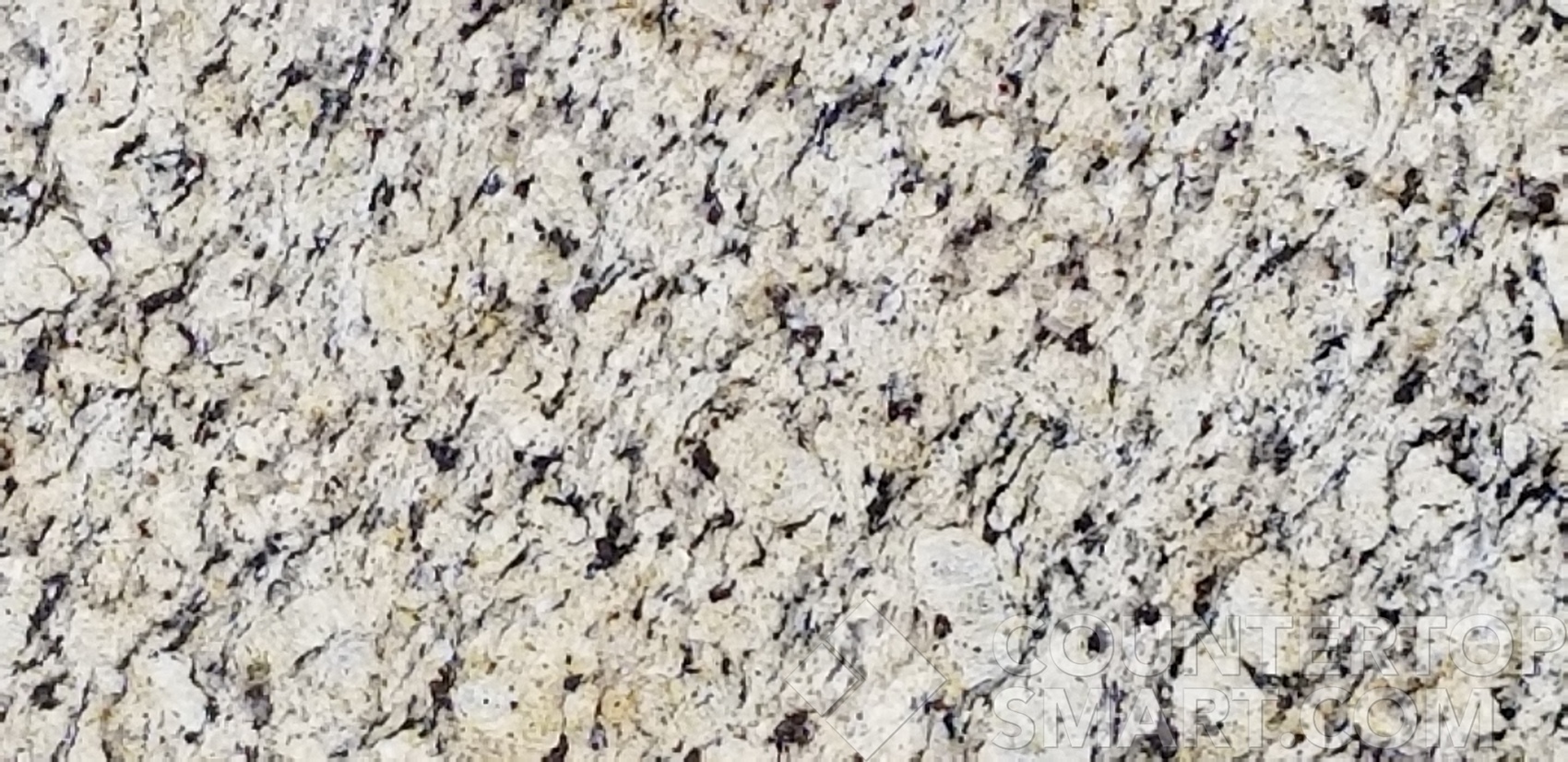 Image of Item