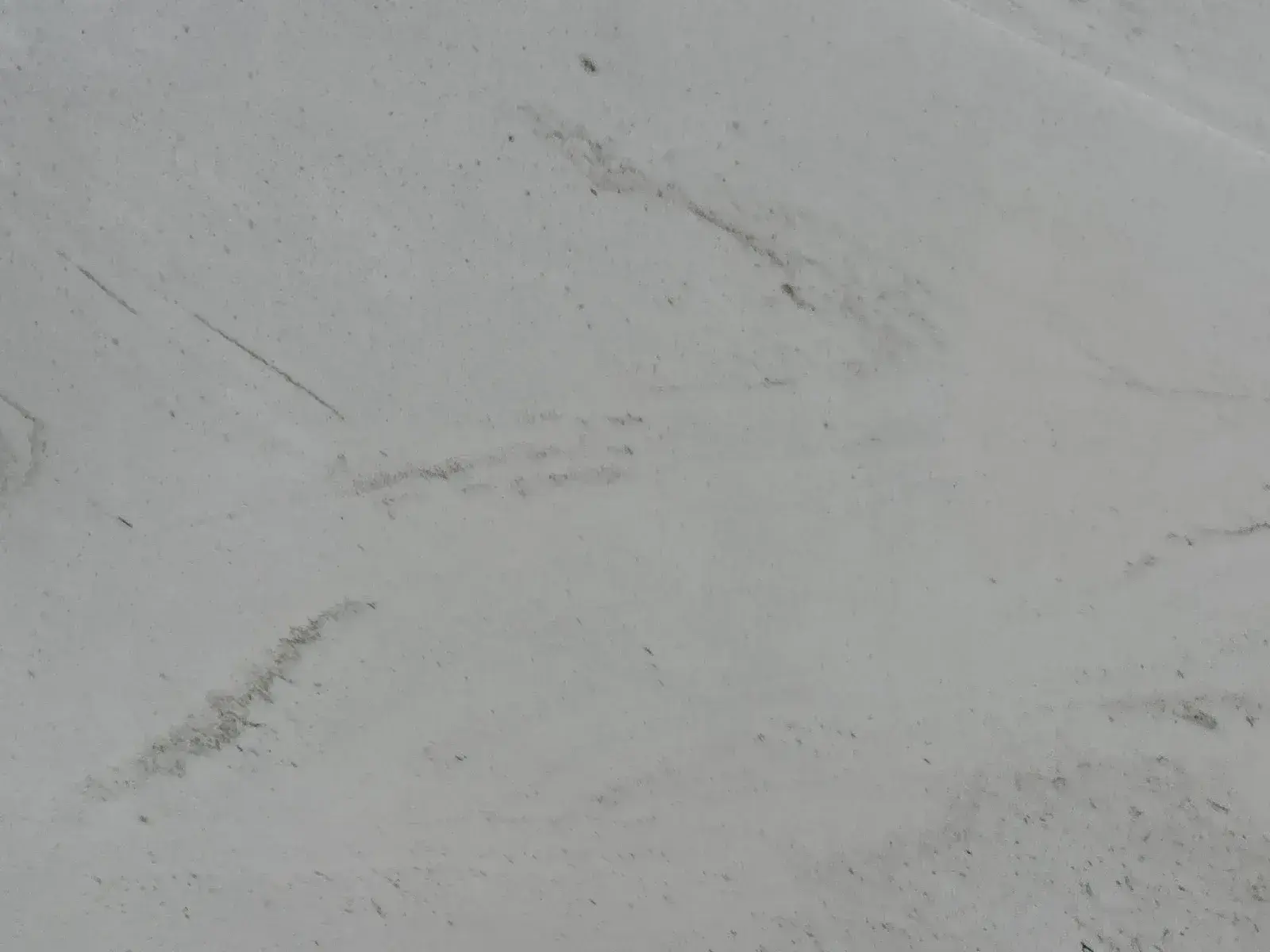 Closeup image of Mont Blanc Quartzite countertop slab