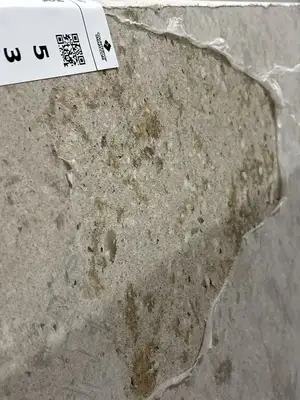 Image of Item