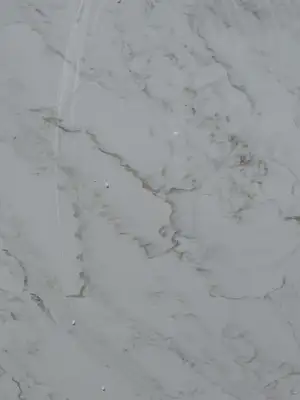 Closeup image of Q Quartz Calacatta Premata White Quartz countertop slab