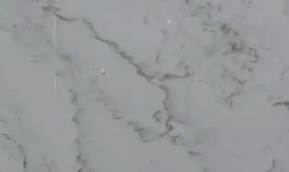 Closeup image of Q Quartz Calacatta Premata White Quartz countertop slab