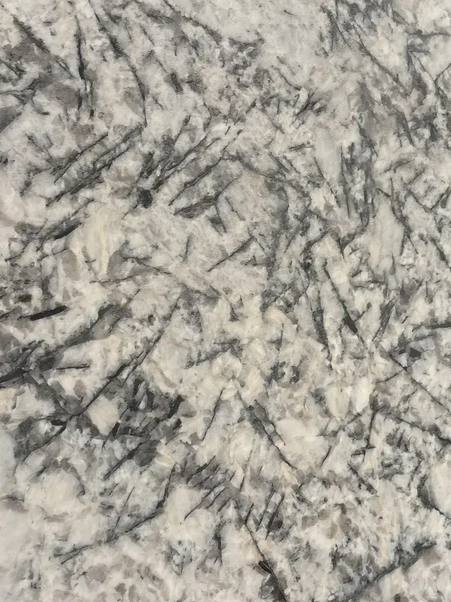 Closeup image of Thunder Cream Granite countertop slab