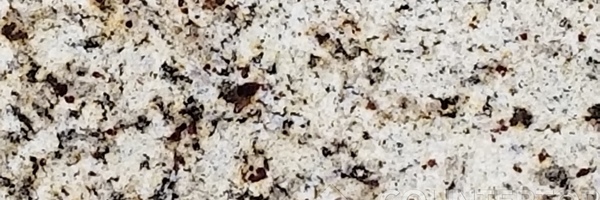 Image of Item