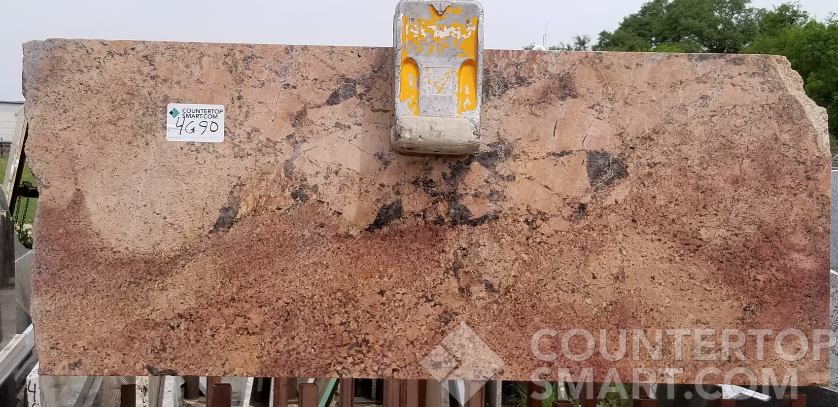 Image of Item