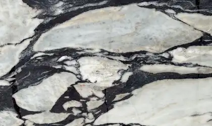 Closeup image of Calacatta Viola White Marble countertop slab
