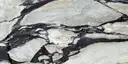 Closeup image of Calacatta Viola White Marble countertop slab