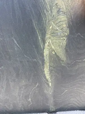 Closeup image of Avocado Green Quartzite countertop slab