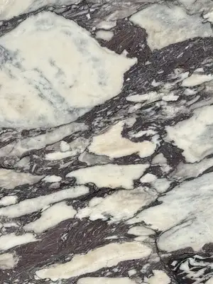 Closeup image of Calacatta Viola White Marble countertop slab